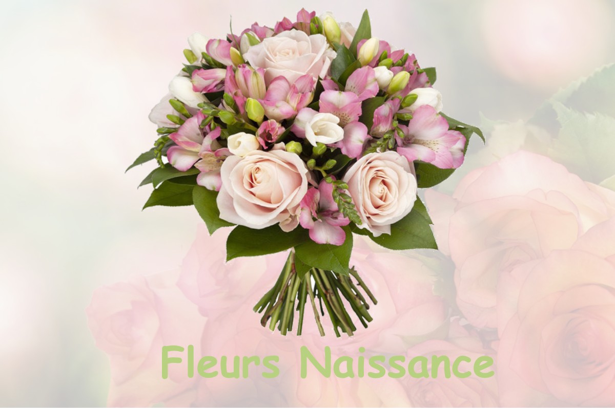 fleurs naissance GUYENCOURT-SUR-NOYE